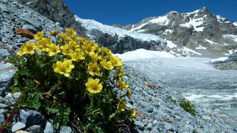 Percorsi NATURALISTICI